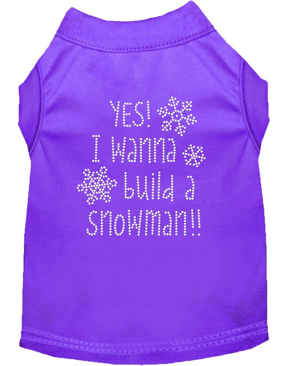 Yes! I want to build a Snowman Rhinestone Dog Shirt Purple Med